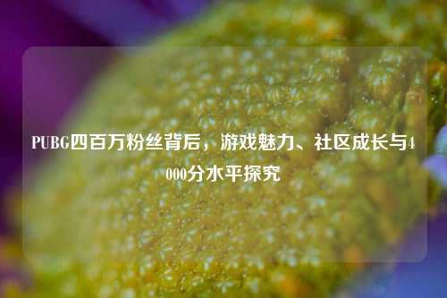 PUBG四百万粉丝背后，游戏魅力、社区成长与4000分水平探究
