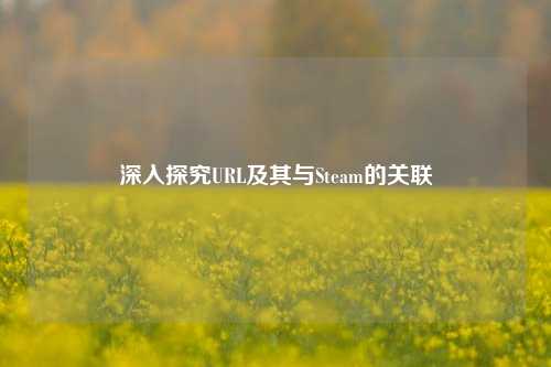 深入探究URL及其与Steam的关联