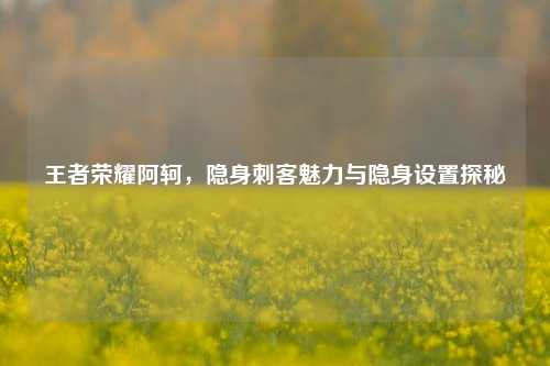王者荣耀阿轲，隐身刺客魅力与隐身设置探秘