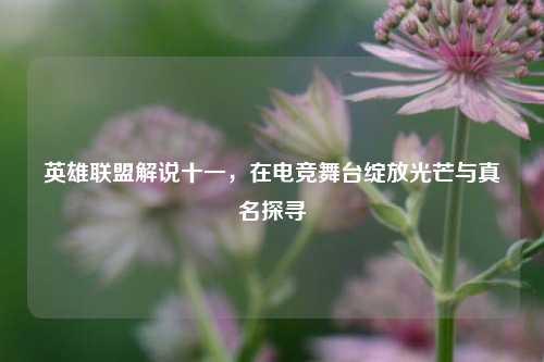 英雄联盟解说十一，在电竞舞台绽放光芒与真名探寻
