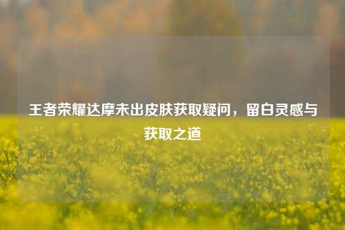 王者荣耀达摩未出皮肤获取疑问，留白灵感与获取之道