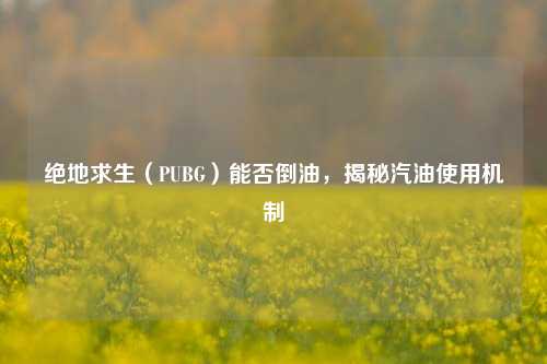 绝地求生（PUBG）能否倒油，揭秘汽油使用机制