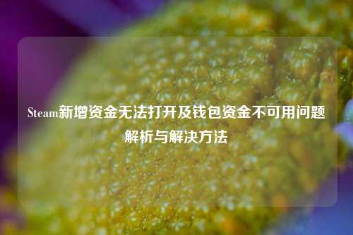 Steam新增资金无法打开及钱包资金不可用问题解析与解决方法