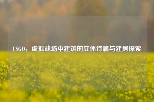 CSGO，虚拟战场中建筑的立体诗篇与建房探索