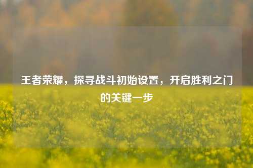 王者荣耀，探寻战斗初始设置，开启胜利之门的关键一步