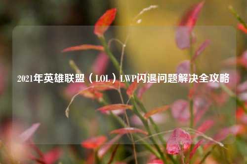2021年英雄联盟(LOL)LWP闪退问题解决全攻略
