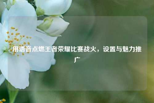 用语音点燃王者荣耀比赛战火，设置与魅力推广
