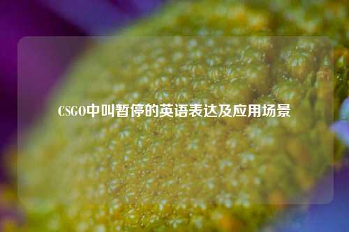 CSGO中叫暂停的英语表达及应用场景