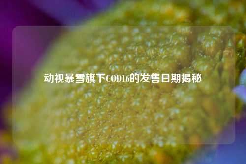 动视暴雪旗下COD16的发售日期揭秘