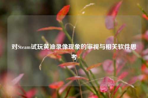 对Steam试玩黄油录像现象的审视与相关软件思考