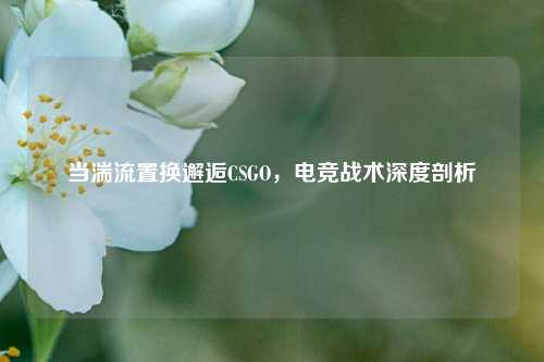 当湍流置换邂逅CSGO，电竞战术深度剖析