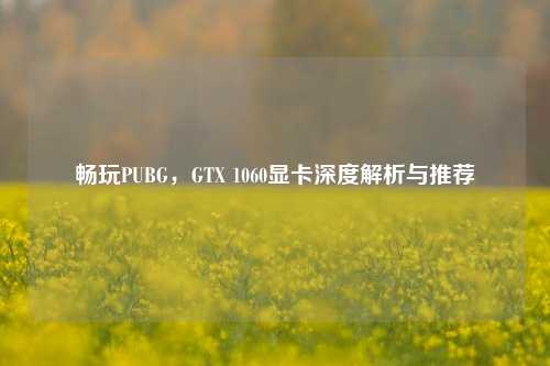 畅玩PUBG，GTX 1060显卡深度解析与推荐