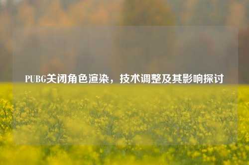 PUBG关闭角色渲染，技术调整及其影响探讨