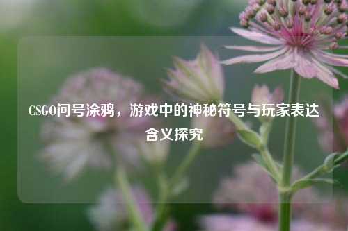 CSGO问号涂鸦，游戏中的神秘符号与玩家表达含义探究