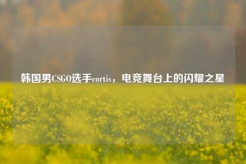 韩国男CSGO选手cortis,电竞舞台上的闪耀之星