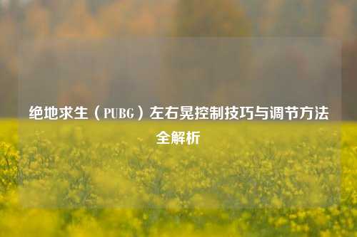绝地求生（PUBG）左右晃控制技巧与调节方法全解析