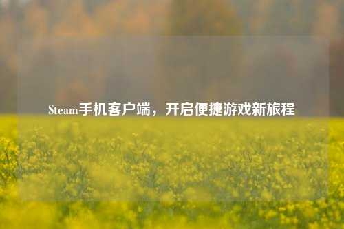 Steam手机客户端，开启便捷游戏新旅程