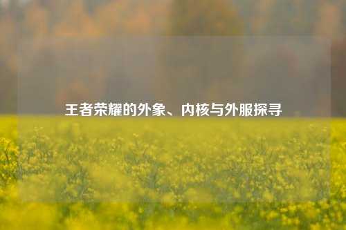 王者荣耀的外象、内核与外服探寻