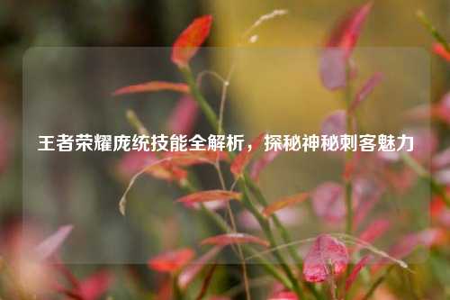 王者荣耀庞统技能全解析,探秘神秘刺客魅力