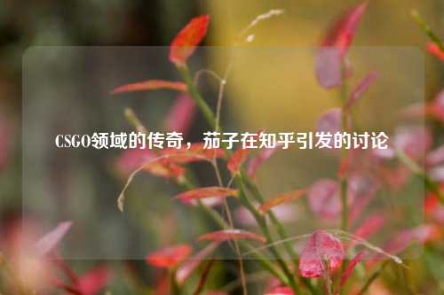 CSGO领域的传奇，茄子在知乎引发的讨论