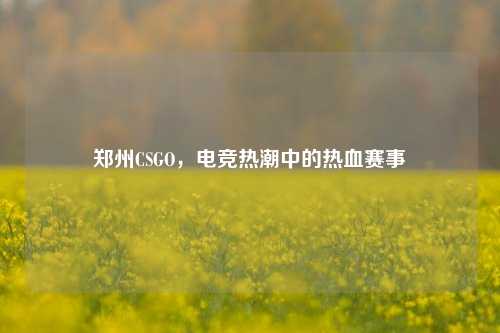 郑州CSGO，电竞热潮中的热血赛事