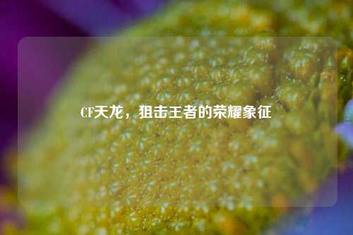 CF天龙，狙击王者的荣耀象征