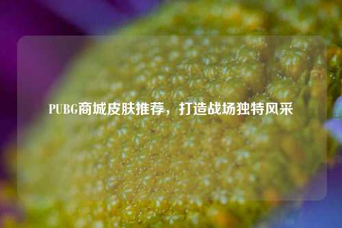 PUBG商城皮肤推荐，打造战场独特风采