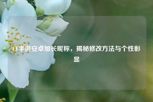 CF手游安卓加长昵称，揭秘修改方法与个性彰显