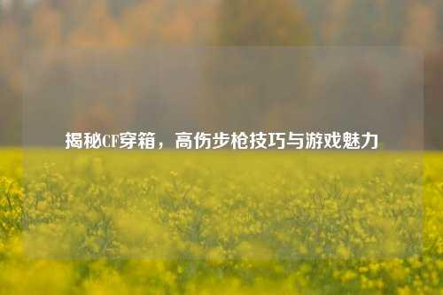揭秘CF穿箱，高伤步枪技巧与游戏魅力