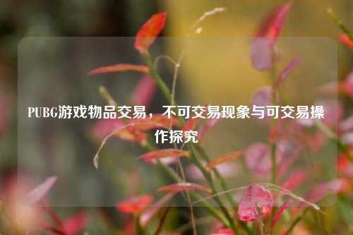 PUBG游戏物品交易,不可交易现象与可交易操作探究