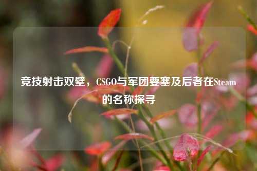 竞技射击双璧,CSGO与军团要塞及后者在Steam的名称探寻