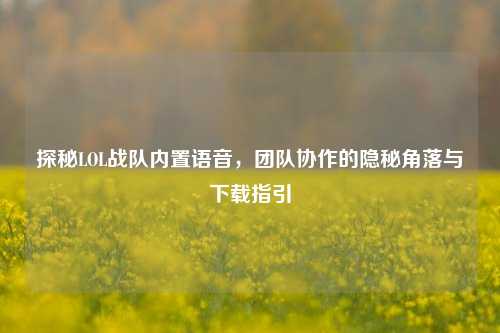 探秘LOL战队内置语音，团队协作的隐秘角落与下载指引