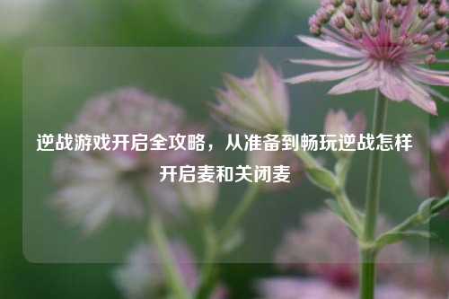 逆战游戏开启全攻略,从准备到畅玩逆战怎样开启麦和关闭麦