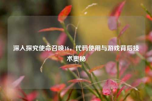 深入探究使命召唤16，代码使用与游戏背后技术奥秘