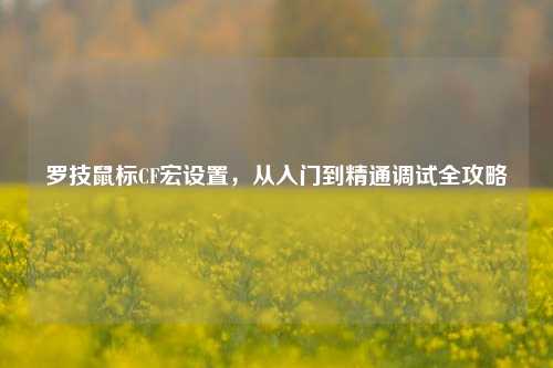 罗技鼠标CF宏设置,从入门到精通调试全攻略