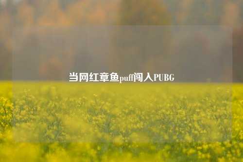 当网红章鱼puff闯入PUBG