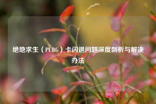 绝地求生（PUBG）卡闪退问题深度剖析与解决办法