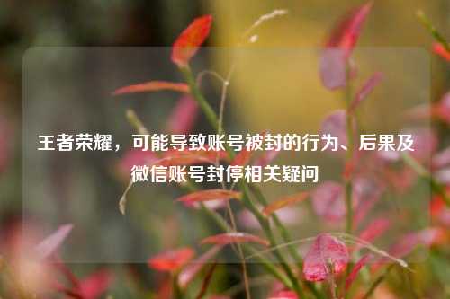王者荣耀,可能导致账号被封的行为、后果及微信账号封停相关疑问