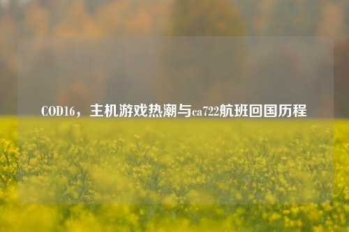COD16,主机游戏热潮与ca722航班回国历程