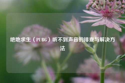 绝地求生（PUBG）听不到声音的排查与解决方法