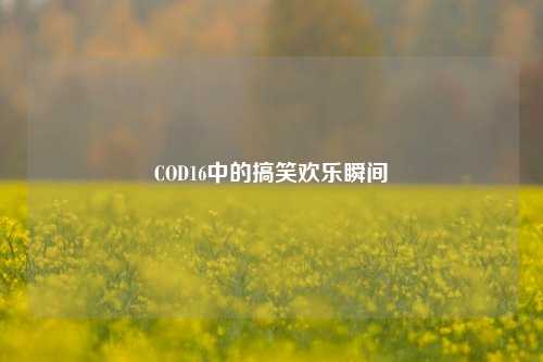 COD16中的搞笑欢乐瞬间