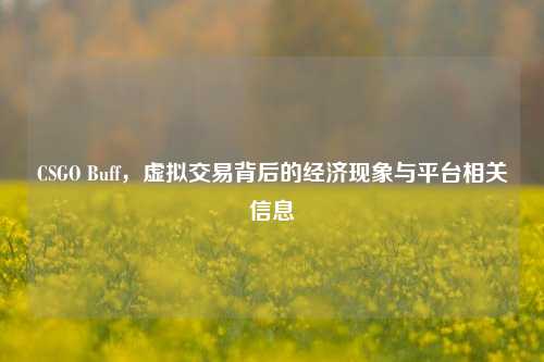 CSGO Buff，虚拟交易背后的经济现象与平台相关信息