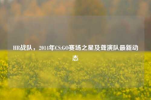 HR战队,2014年CS:GO赛场之星及聋演队最新动态