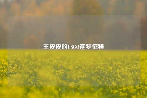 王皮皮的CSGO逐梦征程