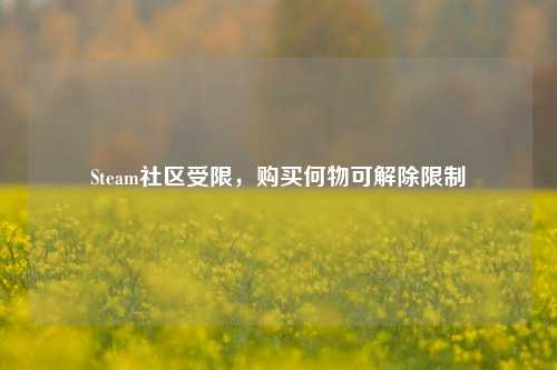 Steam社区受限,购买何物可解除限制