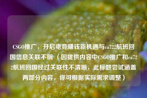 CSGO推广，开启电竞赚钱新机遇与ca722航班回国信息关联不明 （因提供内容中CSGO推广和ca722航班回国经过关联性不清晰，此标题尝试涵盖两部分内容，你可根据实际需求调整）