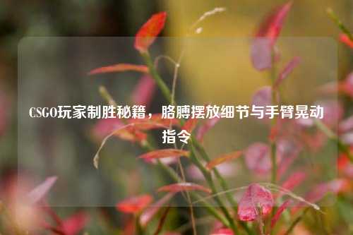 CSGO玩家制胜秘籍,胳膊摆放细节与手臂晃动指令