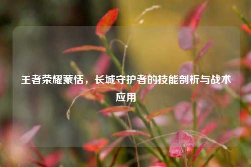 王者荣耀蒙恬,长城守护者的技能剖析与战术应用