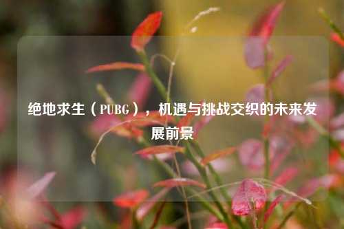 绝地求生（PUBG），机遇与挑战交织的未来发展前景