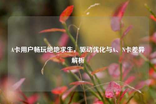 A卡用户畅玩绝地求生，驱动优化与A、N卡差异解析